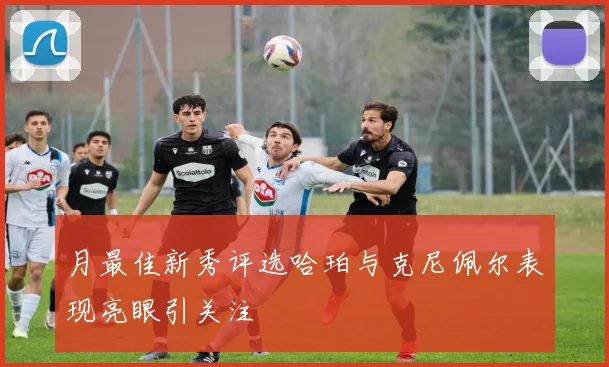 月最佳新秀评选哈珀与克尼佩尔表现亮眼引关注