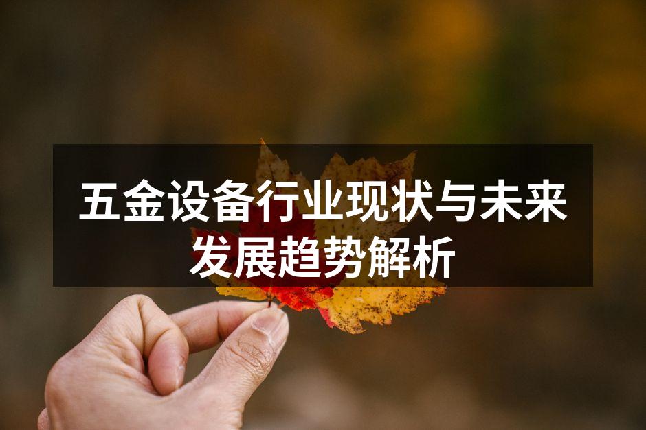 五金设备生产线示意图